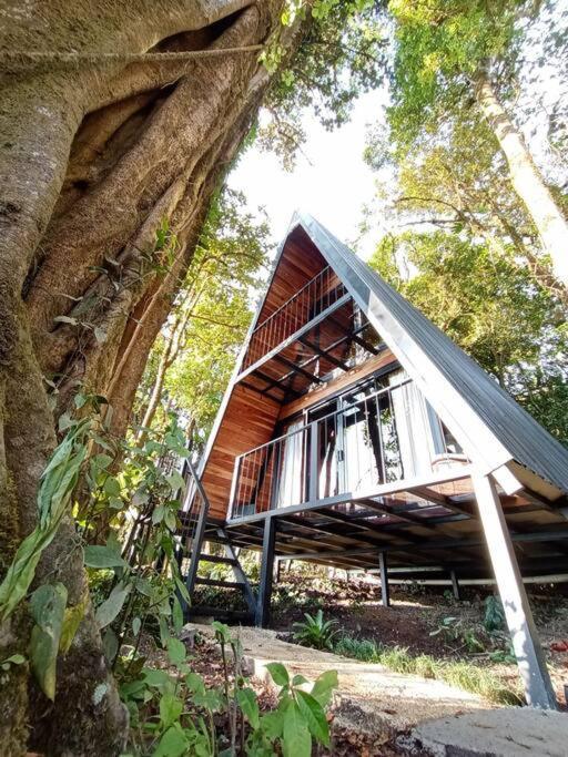 Casa Del Arbol Vila Monteverde Exterior foto